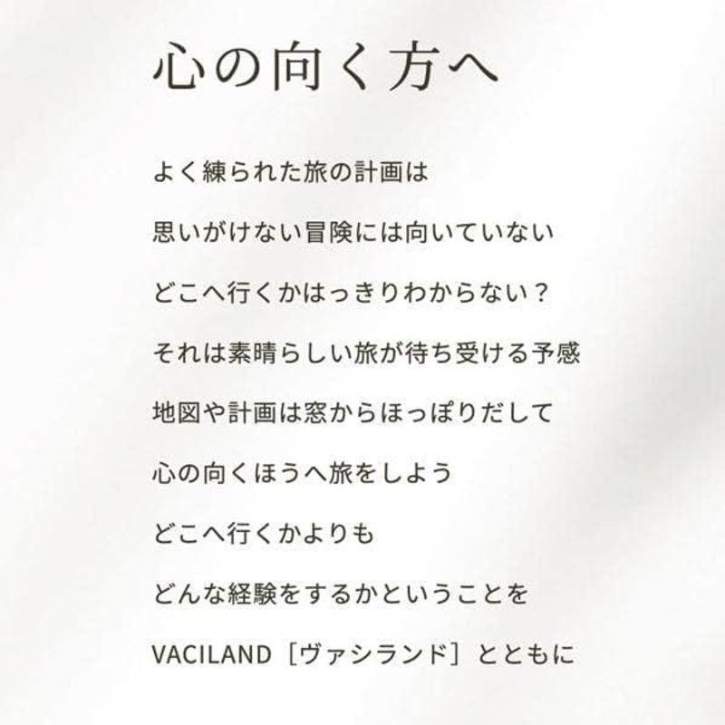 中古 SHIMANO ヴァシランド PRO 40L VACILAND PRO NX-040W クーラーボックス 【U1652349033】(59754円)