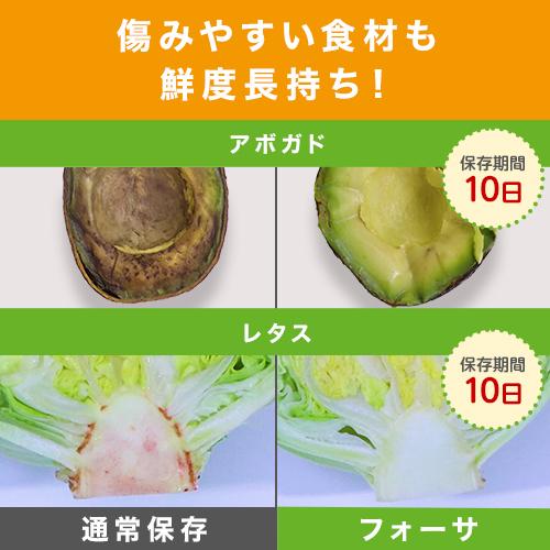 ショップジャパン 公式 返品保証付 フォーサ 真空保存袋 特典 ショップジャパン 公式 返品保証付 フォーサ 真空保存袋 特典