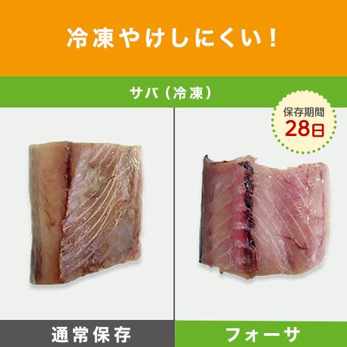 フォーサ 真空保存袋 パーフェクトセット 袋タイプ 冷蔵可 冷凍可 鮮度長持ち 正規品 ショップジャパン公式|shopjapan|08