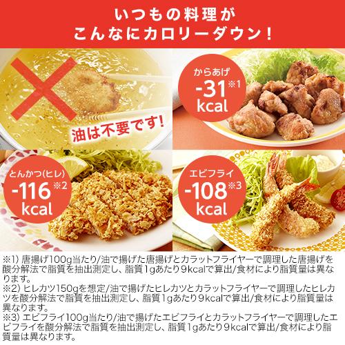ショップジャパン 公式 返品保証付 健康フライヤー カラット ショップジャパン 公式 返品保証付 健康フライヤー カラット