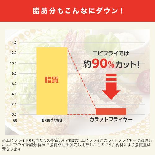 健康フライヤー カラットフライヤー パーフェクトセット 電気