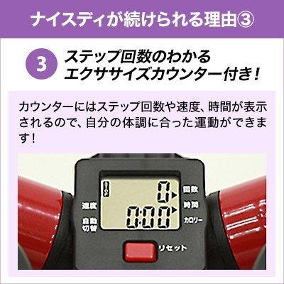 健康ステッパー ナイスデイ ハンドルセット 正規品 ナイスデー 