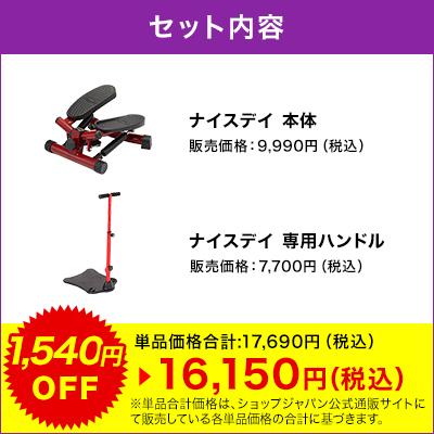 健康ステッパー ナイスデイ ハンドルセット 正規品 ナイスデー