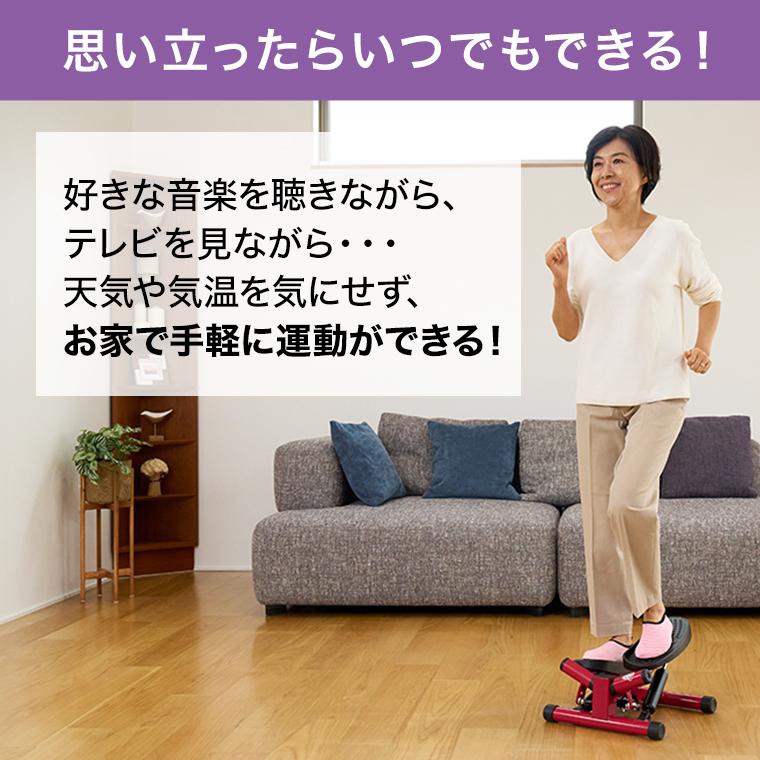 ショップジャパン（Shop Japan） 健康ステッパー ナイスデイ ハンドル
