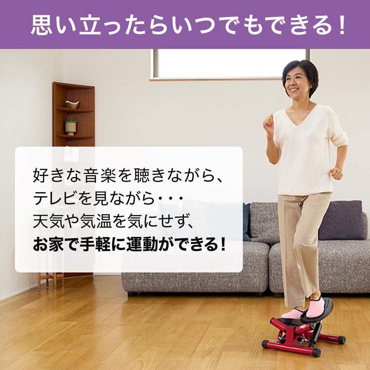 ショップジャパン 健康ステッパー ナイスデイ 正規品 ナイスデー ショップジャパン 健康ステッパー ナイスデイ 正規品 ナイスデー