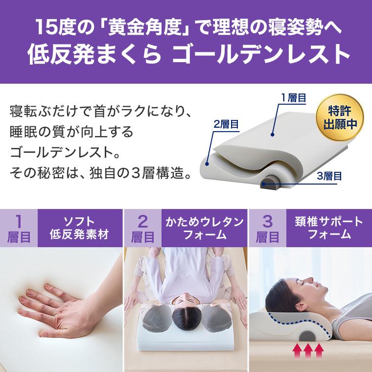 トゥルースリーパー エア 特別セット 低反発まくら付 True Sleeper トゥルースリーパー（True Sleeper） エアフリー 三つ折りタイプ 特別