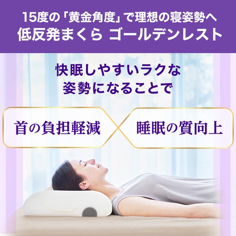 トゥルースリーパー（True Sleeper） エアフリー 三つ折りタイプ 半額