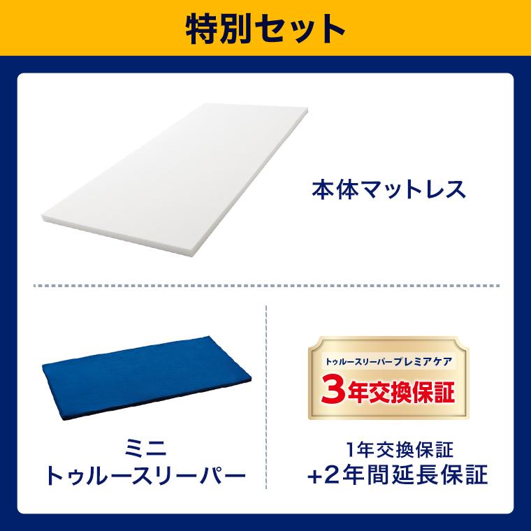 新品未使用品　正規品　トゥルースリーパー プレミアケア クイーンサイズ4点セット トゥルースリーパー 11/5 17:00まで ショップジャパンWOWセール