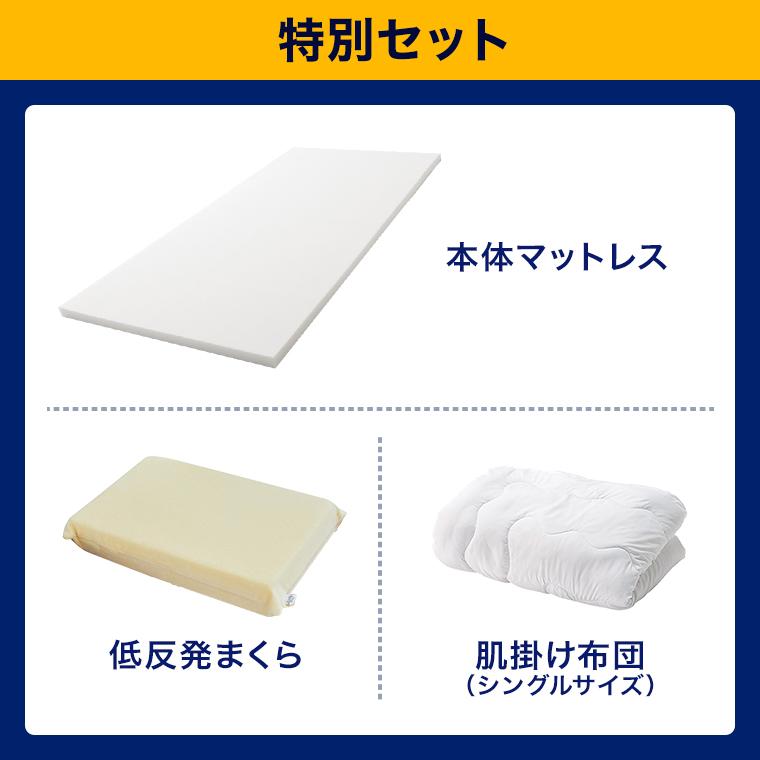 トゥルースリーパー（True Sleeper） 9/25 17:00まで ショップジャパン