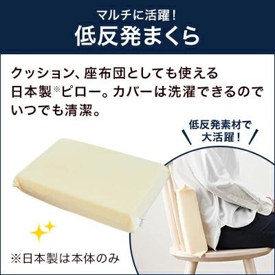 トゥルースリーパー（True Sleeper） 1/14 17:00まで ショップジャパン