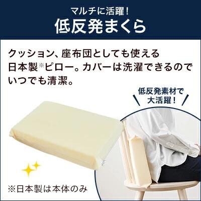 トゥルースリーパー（True Sleeper） 9/25 17:00まで ショップジャパン