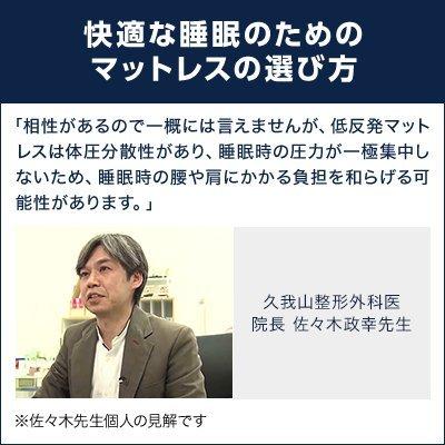 トゥルースリーパー 5/8 17:00まで ショップジャパンWOWセール トゥルースリーパー 5/8 17:00まで ショップジャパンWOWセール