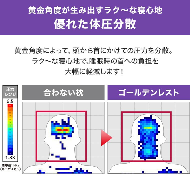 トゥルースリーパー（True Sleeper） 公式 返品保証付 ゴールデン