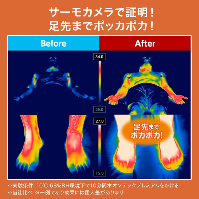 トゥルースリーパー 掛け布団 ホオンテック掛け布団プレミアム トゥルースリーパー 掛け布団 ホオンテック掛け布団プレミアム