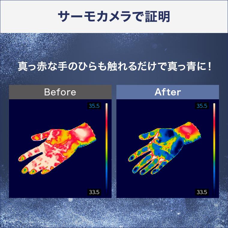 トゥルースリーパー（True Sleeper） ネオクール 特別2枚セット