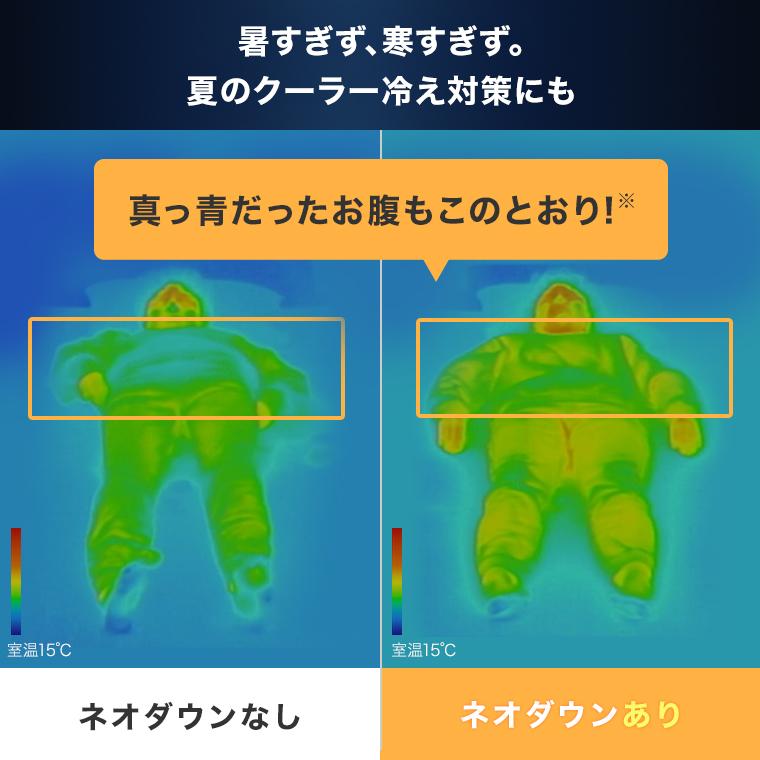 トゥルースリーパー（True Sleeper） 肌掛け布団 ネオダウン掛け布団 1