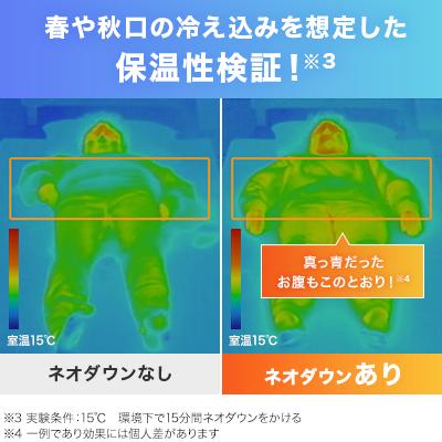 トゥルースリーパー 肌掛け布団 ネオダウン掛け布団 2枚セット トゥルースリーパー 肌掛け布団 ネオダウン掛け布団 2枚セット