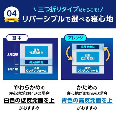 トゥルースリーパー プレミアリッチ 三つ折りタイプ 特別セット トゥルースリーパー プレミアリッチ 三つ折りタイプ 特別セット