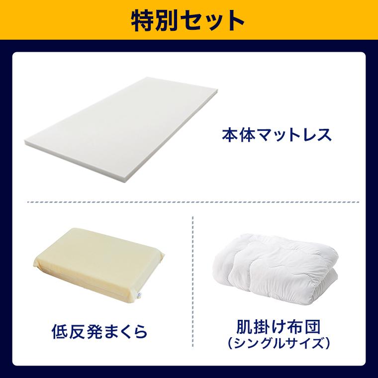 トゥルースリーパー（True Sleeper） 9/25 17:00まで ショップジャパン