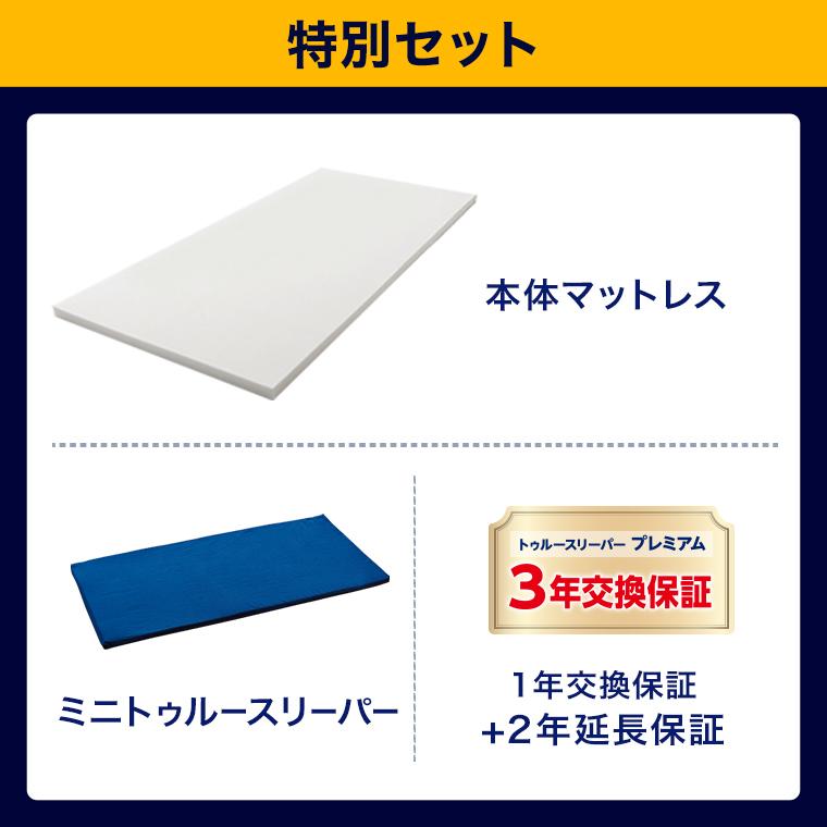 トゥルースリーパー（True Sleeper） 7/22 17:00まで ショップジャパン