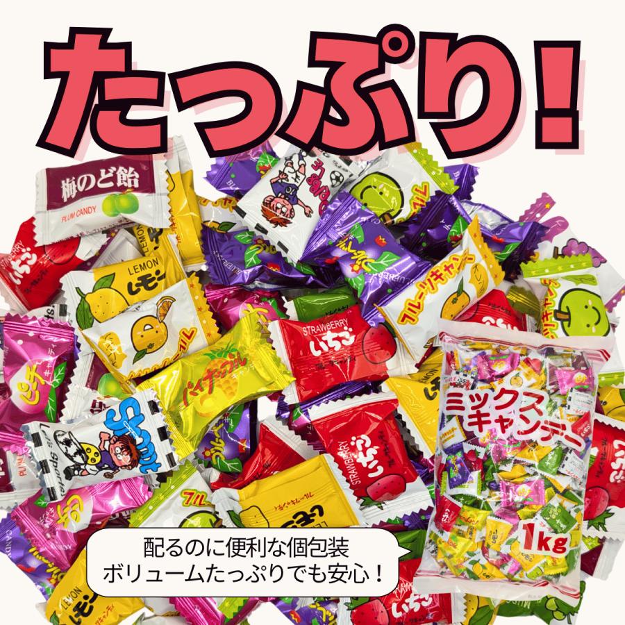 ミックスキャンディ 個包装 業務用 大容量 10種類アソート 250g 500g