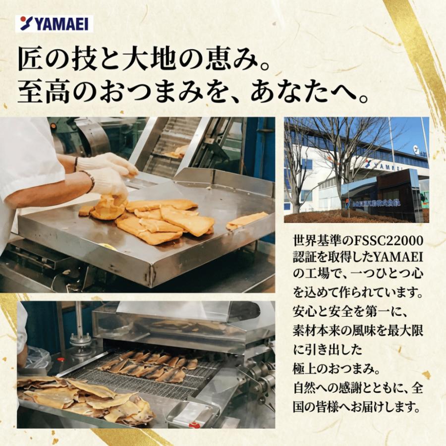 チーズいか燻製 個包装 おつまみ 選べる3サイズ 40g 100g 470g