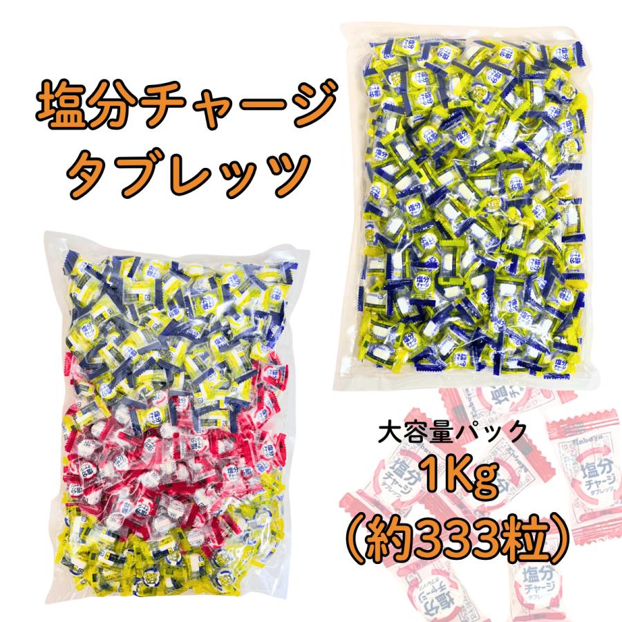 塩分チャージタブレッツ 送料無料 1kg(約333粒) スポーツドリンク・塩