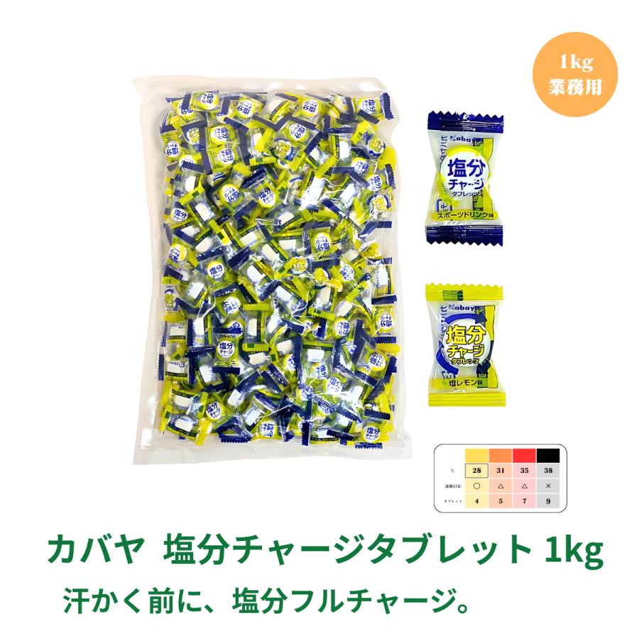 Kabaya カバヤ 塩分チャージタブレッツ 1kg 約333粒 業務用 大容量 個