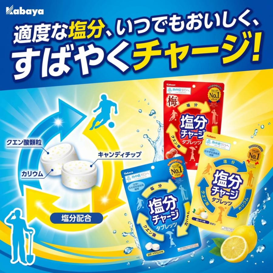 塩分チャージタブレッツ 送料無料 3種 4種 スポーツドリンク 塩レモン