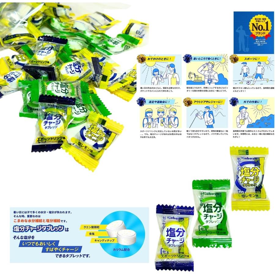 塩分チャージ タブレッツ 塩分チャージタブレッツ 送料無料 3種 4種 スポーツドリンク 塩