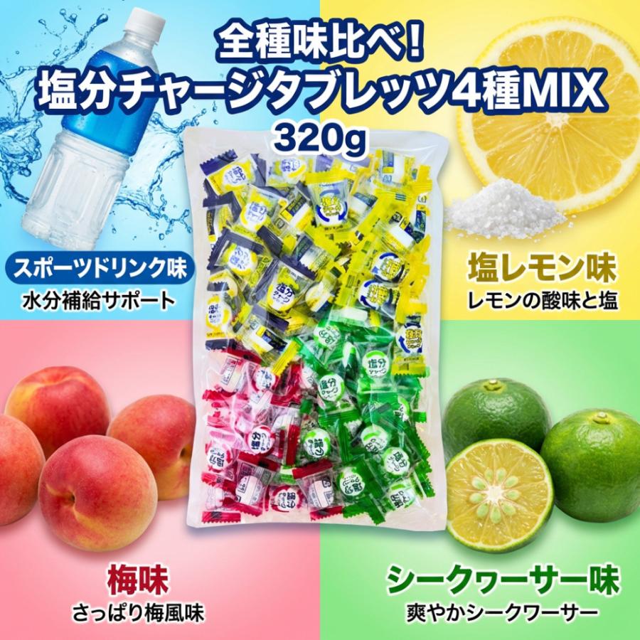 塩分チャージタブレッツ 送料無料 3種 4種 スポーツドリンク 塩レモン