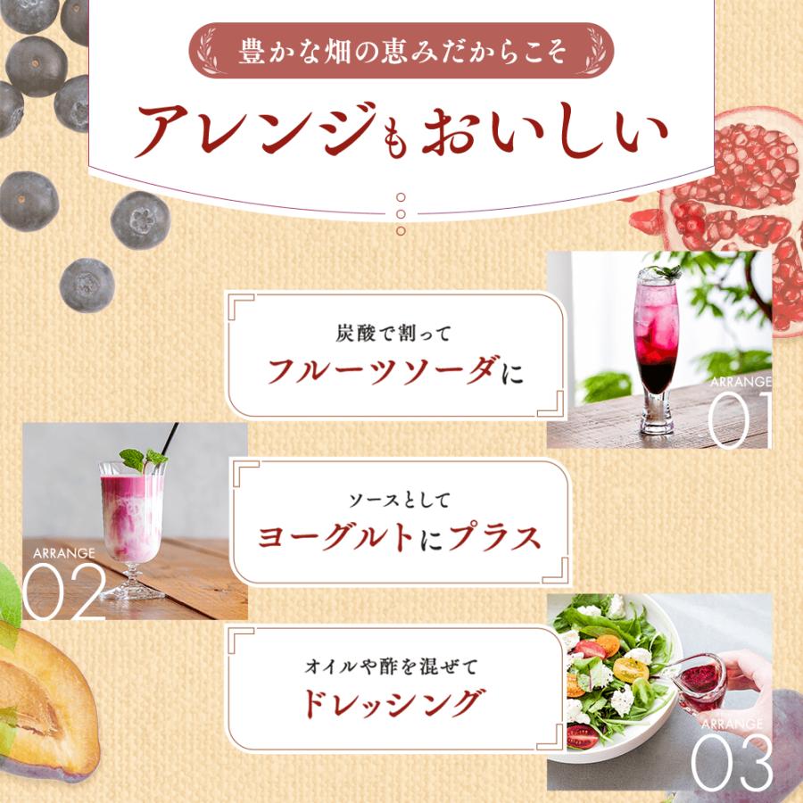 KAGOME（カゴメ） カゴメ公式 ケアフルーツ ザクロ（ザクロジュース