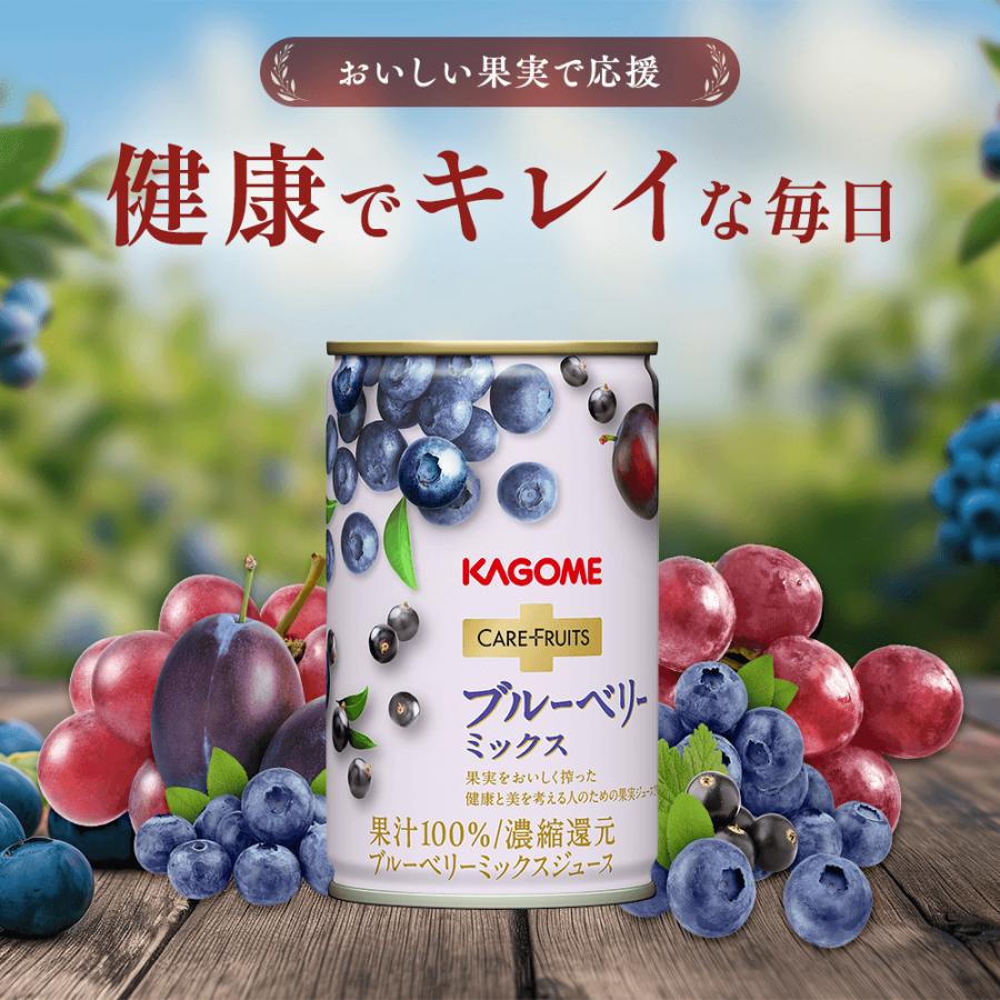 カゴメ公式 ケアフルーツ ブルーベリーミックス（ブルーベリーミックスジュース）160g×20本／1ケース　※のし・ラッピング対応不可　ポイント利用 お中元 爆買