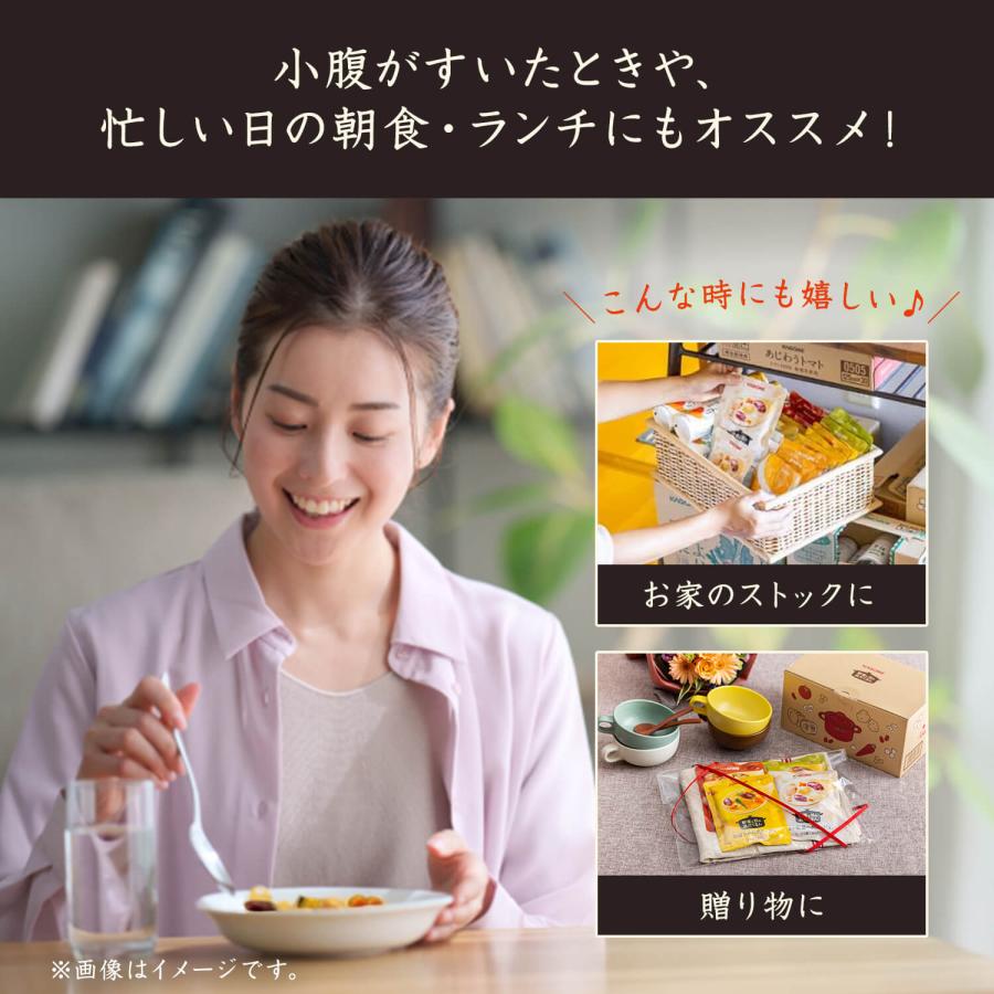 KAGOME カゴメ公式 野菜と豆の具だくさんポタージュセット 16 KAGOME カゴメ公式 野菜と豆の具だくさんポタージュセット 16