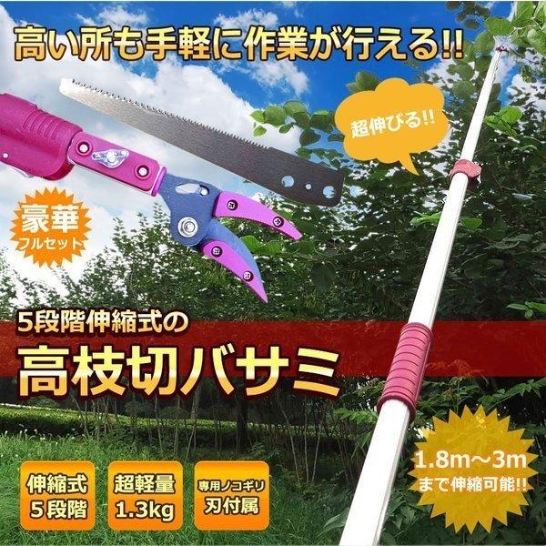 ★激安★未使用品　充電式伸縮高枝切鋏 Amazon | comcon 大進 収納 に便利な伸縮式 高枝切鋏 3m 高枝切り鋏