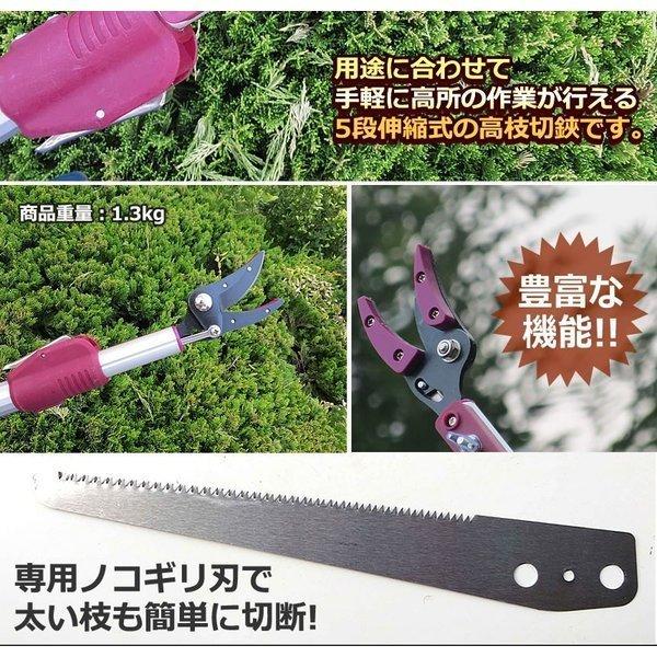 高枝切りバサミ 5段階 伸縮 3m 剪定鋏 超軽量 伸縮式 高枝切鋏 枝切り