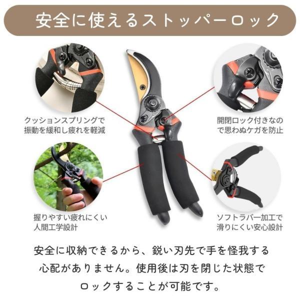 剪定ばさみ ハサミ 枝切りバサミ 剪定はさみ 錆びにくい フッ素