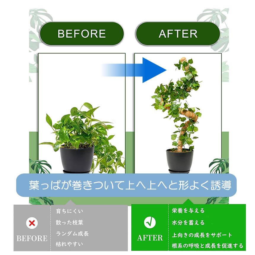 曲げられる ココスティック 30cm 2本 セット ココナッツ支柱