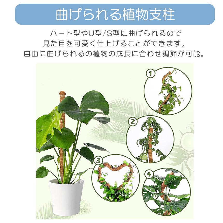 曲げられる ココスティック 40cm 2本 セット ココナッツ支柱