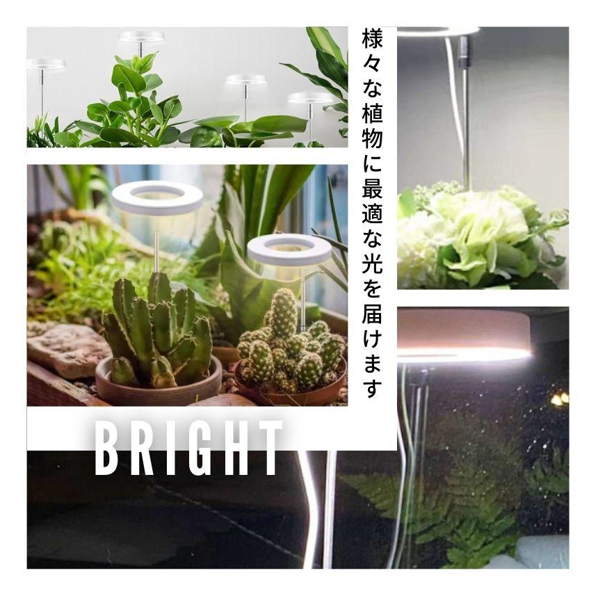 植物育成ライト led 育成ライト 植物用ledライト 観葉植物 ライト 植物