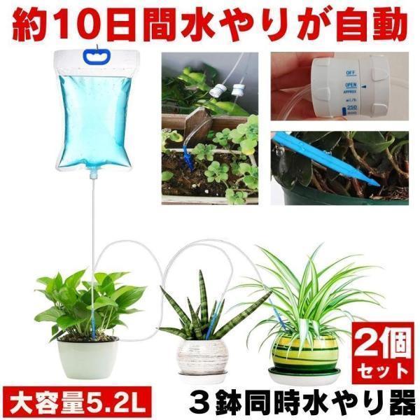 自動水やり機 2個セット 自動水やり 自動給水器 植物 自動水やり機 水やり当番 水