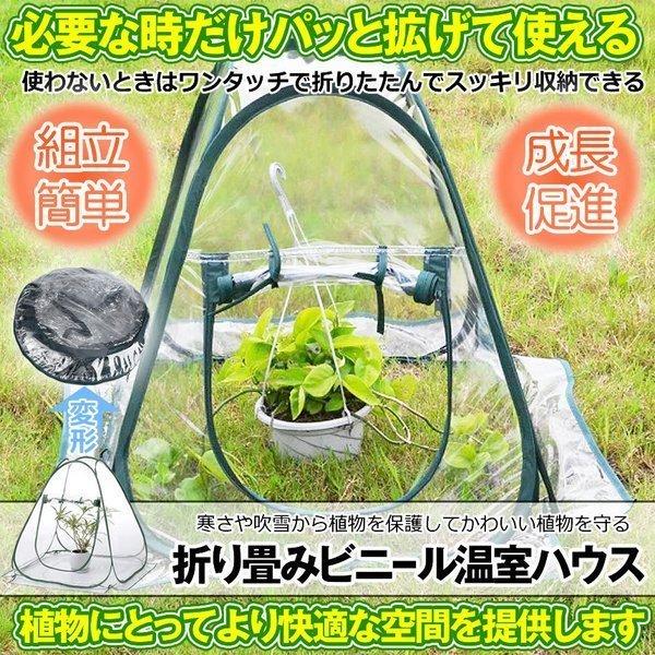 ビニール温室ハウス 折りたたみ 折り畳み フラワースタンド用 ミニ