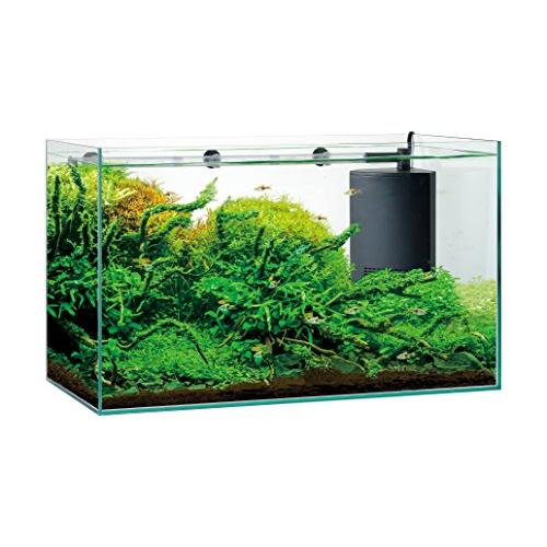 GEX AQUARIUM グラステリアサイレント600ST 静音フィルター付 水槽3年保証フレームレス水槽W60×D30×H36cm 約57L