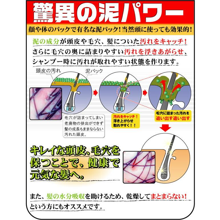 セントプライド スカルプ ＆ プレパック マリア 250g 頭皮専用パック 敬老の日 ギフトに プレゼントに |  | 05