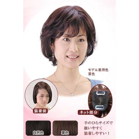 ソフトネット・ヘアピース SO-110 クリスマス ギフトに プレゼントに | 