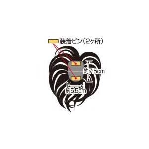 ソフトネット・ヘアピース SO-110 クリスマス ギフトに プレゼントに |  | 01