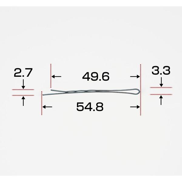ニシダピン アメリカピン 450g 株式会社ニシダ プロフェッショナルユースでスタイリング自由自在 |  | 02