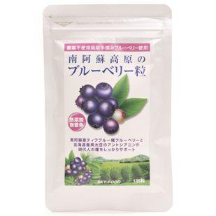 スカイフード sky-food 南阿蘇高原のブルーベリー粒 クリスマス ギフトに プレゼントに | 