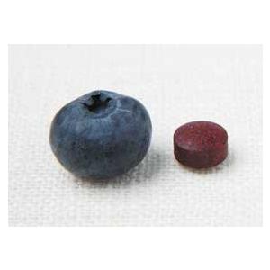 スカイフード sky-food 南阿蘇高原のブルーベリー粒 クリスマス ギフトに プレゼントに |  | 01