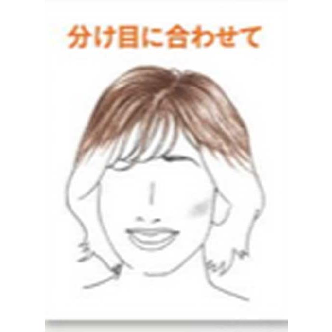 レオンカ SF-R18 部分ウィッグ |  | 01